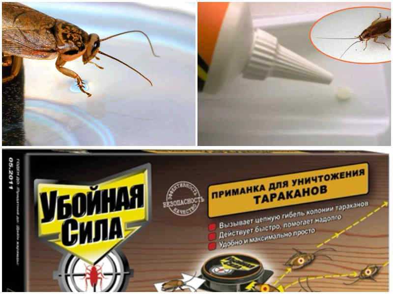 Преимущества натуральных компонентов в борьбе с тараканами