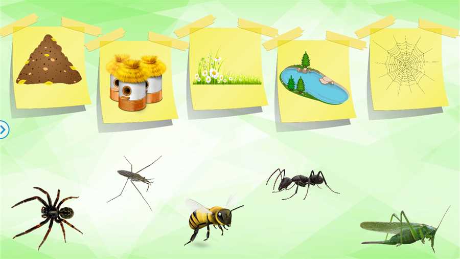 Фрамуги и щели: как избавиться от насекомых в доме?