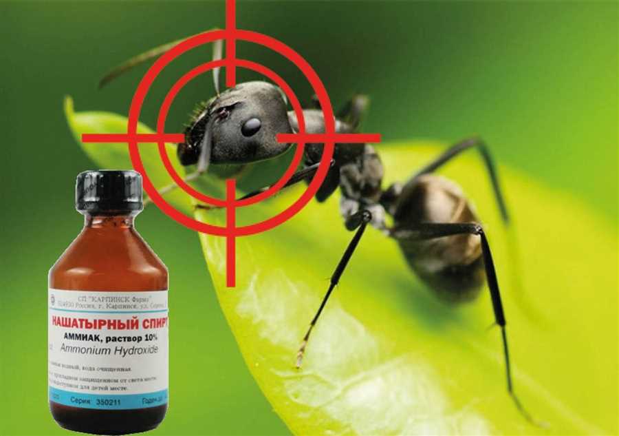 Преимущества применения Токсипол против кровососущих насекомых