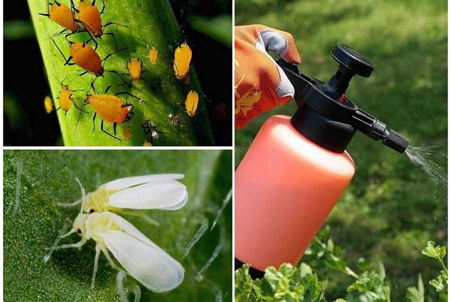 Эффективность действия препарата на различные виды насекомых